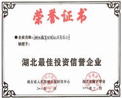 湖北最佳投资信誉企业2002湖北省政府发展中心-2