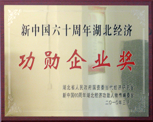 2010功勋企业奖-湖北国资委.jpg